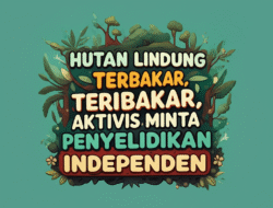 Hutan Lindung Terbakar, Aktivis Minta Penyelidikan Independen
