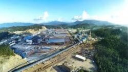 Dana Kedaulatan Danantara Gandeng GEM China Kembangkan Pengolahan Nikel Skala Industri